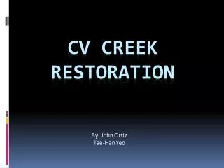 CV Creek Restoration