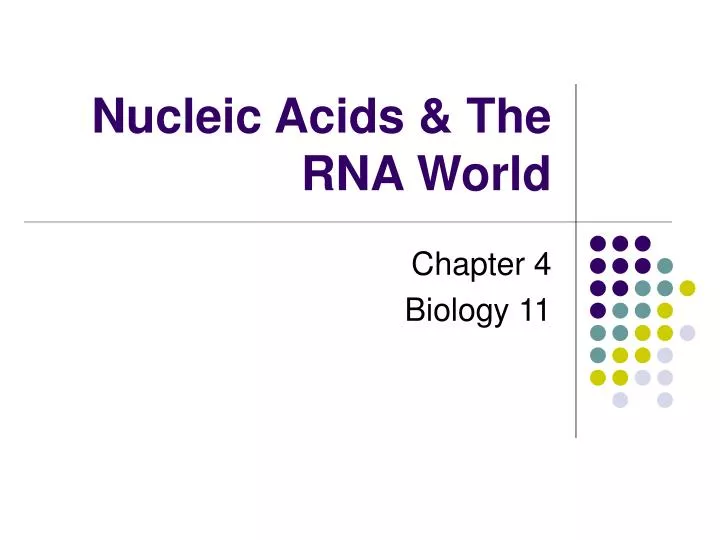 nucleic acids the rna world