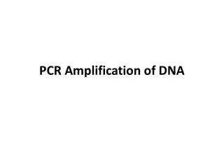 PCR Amplification of DNA