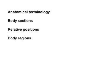 Anatomical terminology Body sections Relative positions Body regions