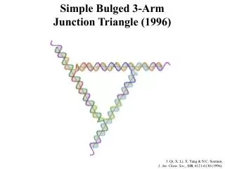 Simple Bulged 3-Arm Junction Triangle (1996)