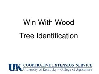 Win With Wood Tree Identification