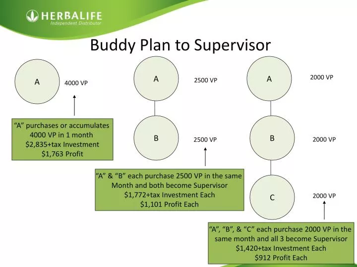 buddy plan to supervisor