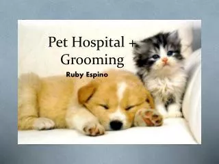 Pet Hospital + Grooming