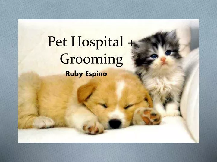 pet hospital grooming