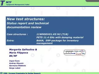 New test structures: Status report and technical documentation review