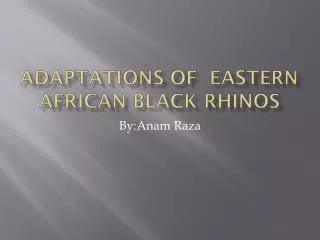 Adaptations of Eastern African Black Rhinos