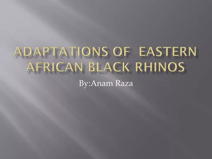 adaptations of eastern african black rhinos