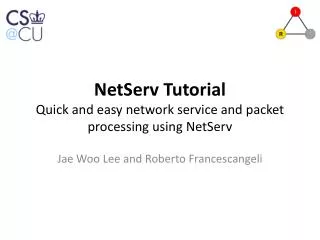 NetServ Tutorial Quick and easy network service and packet processing using NetServ