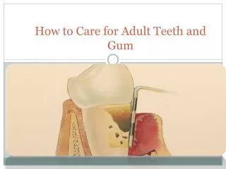 How to Care for Adult Teeth