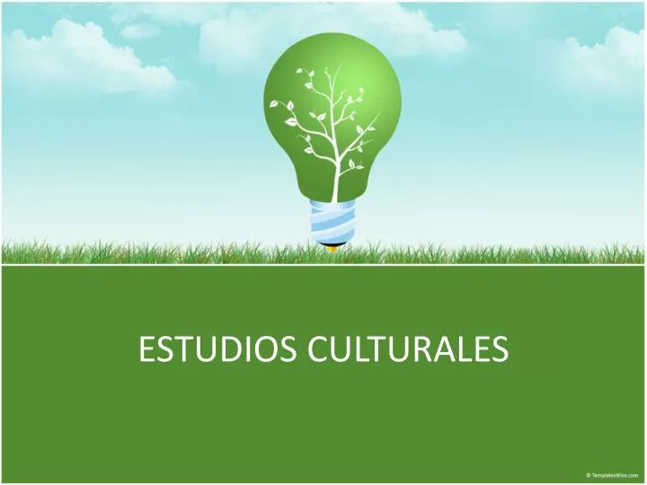 estudios culturales