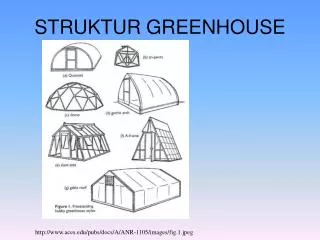 struktur greenhouse