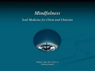 Mindfulness Soul Medicine for Client and Clinician