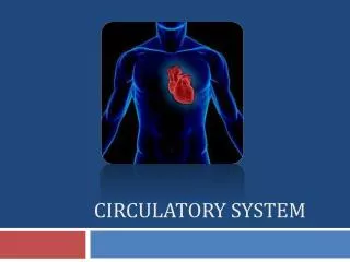 Circulatory System