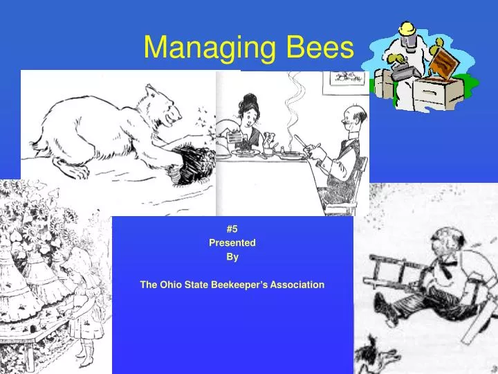 managing bees