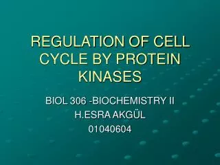 REGULATION OF CELL CYCLE BY PROTEIN KINASES