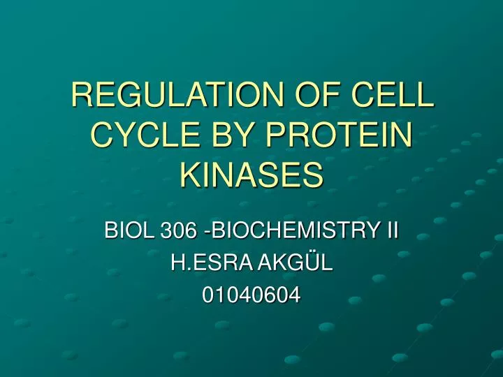 regulation of cell cycle by protein kinases