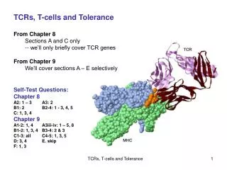 TCRs, T-cells and Tolerance From Chapter 8 	Sections A and C only