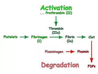 Activated factors vs. zymogens