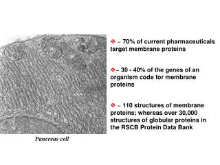 ? ~ 30 - 40% of the genes of an organism code for membrane proteins