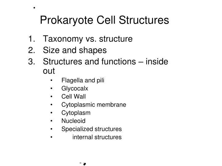 prokaryote cell structures
