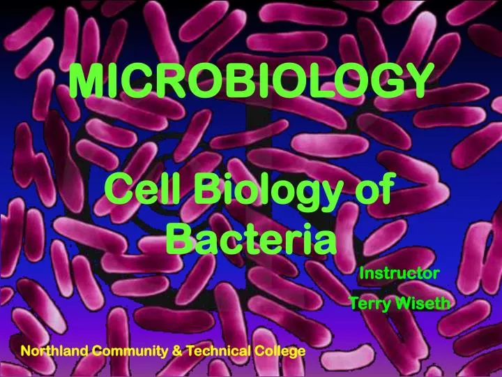 microbiology cell biology of bacteria