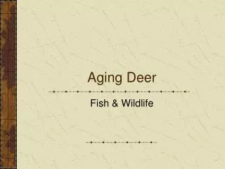 Aging Deer