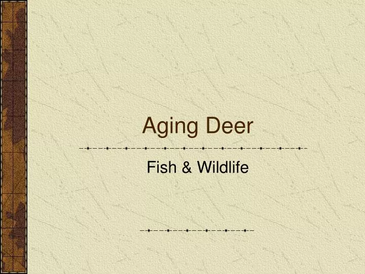 aging deer