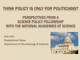 Amy Hein Postdoctoral Fellow Department of Neurobiology &amp; Anatomy