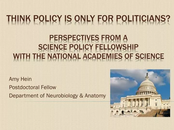 amy hein postdoctoral fellow department of neurobiology anatomy