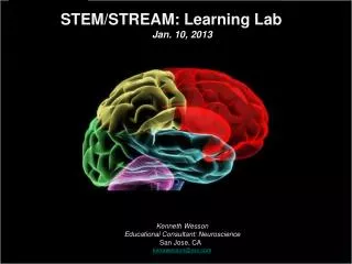STEM/STREAM: Learning Lab Jan. 10, 2013