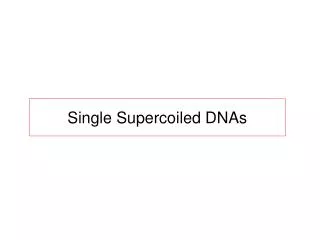 Single Supercoiled DNAs