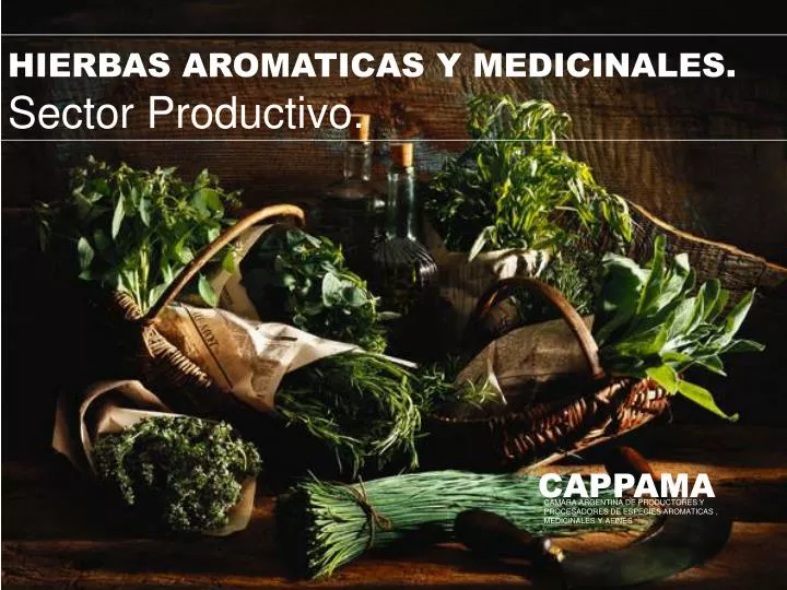 hierbas aromaticas y medicinales sector productivo