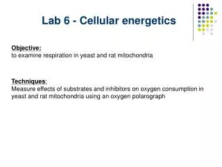 Lab 6 - Cellular energetics