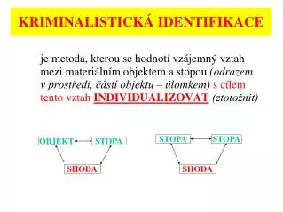 kriminalistick identifikace