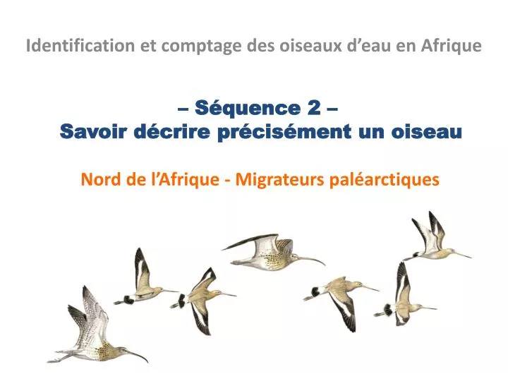 s quence 2 savoir d crire pr cis ment un oiseau nord de l afrique migrateurs pal arctiques