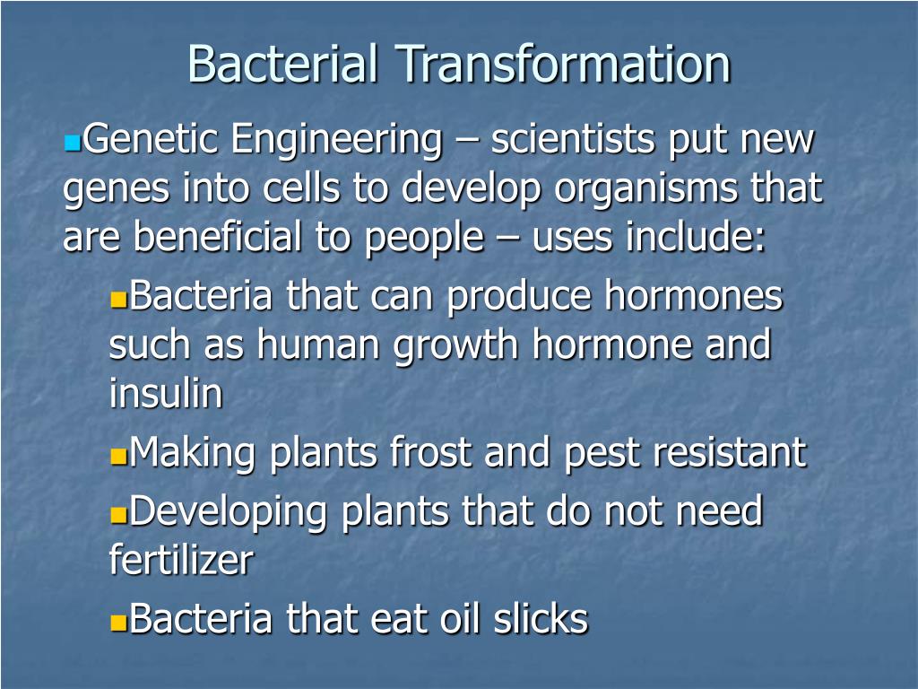 PPT - Bacterial Transformation PowerPoint Presentation, free download ...