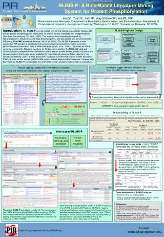 RLIMS-P: A Rule-Based Literature Mining System for Protein Phosphorylation