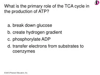 What is the primary role of the TCA cycle in the production of ATP?