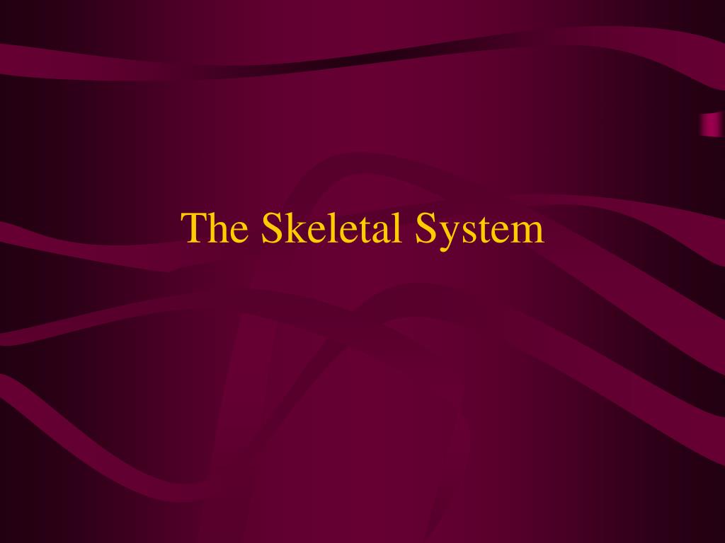 PPT - The Skeletal System PowerPoint Presentation, free download - ID ...
