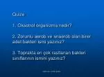 AKTİNOMİSET MANTAR - slide 1