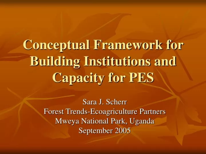 conceptual framework for building institutions and capacity for pes