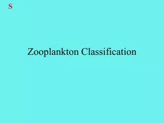 Zooplankton Classification