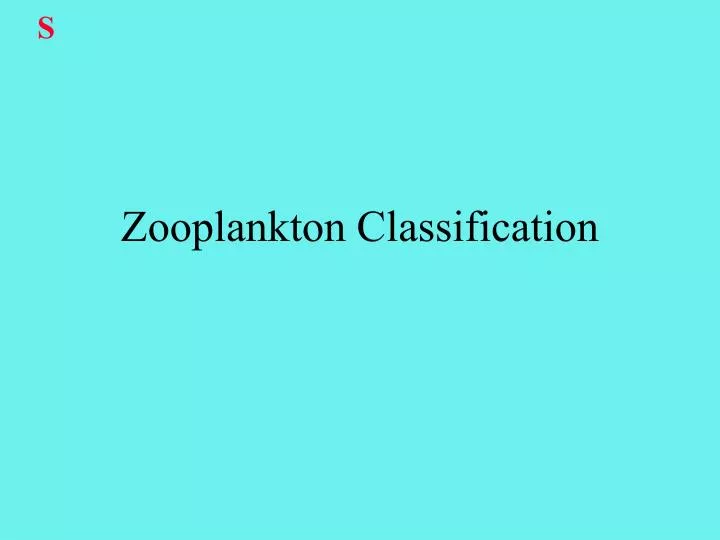 zooplankton classification