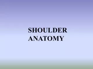 SHOULDER ANATOMY