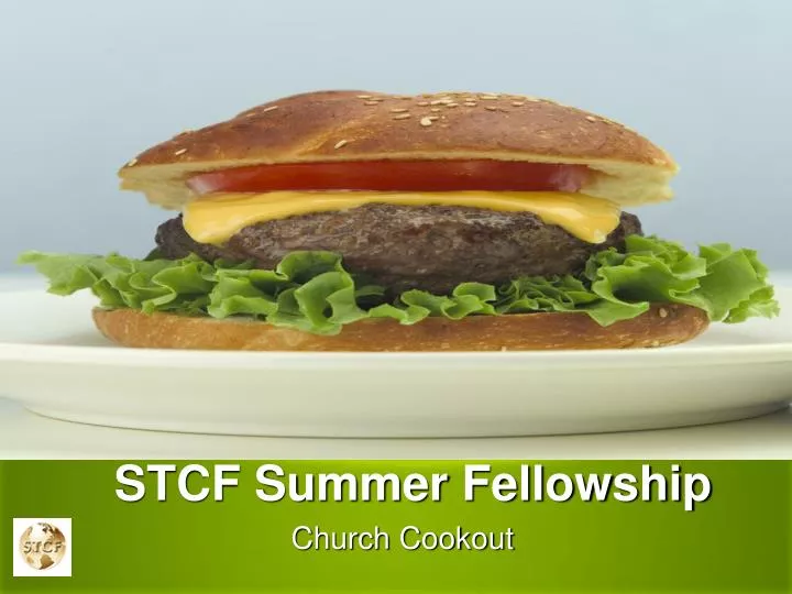 stcf summer fellowship