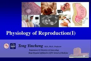 Physiology of Reproduction(I)