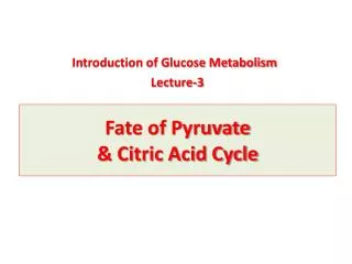 Fate of Pyruvate &amp; Citric Acid Cycle