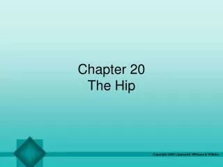 Chapter 20 The Hip