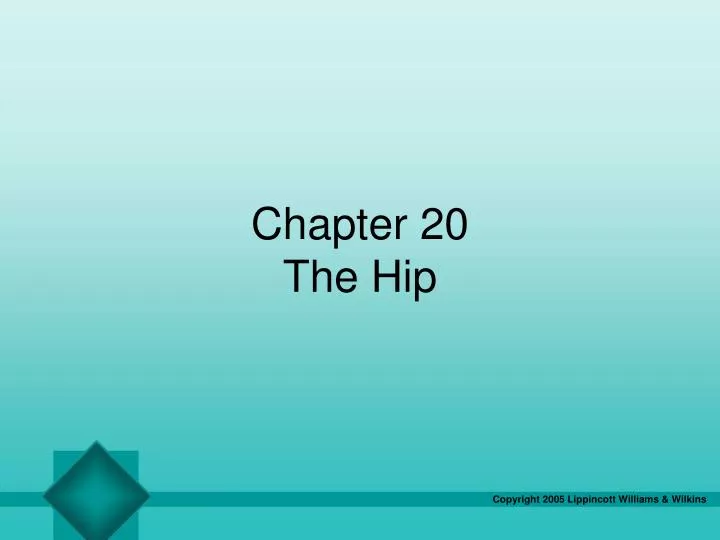 chapter 20 the hip